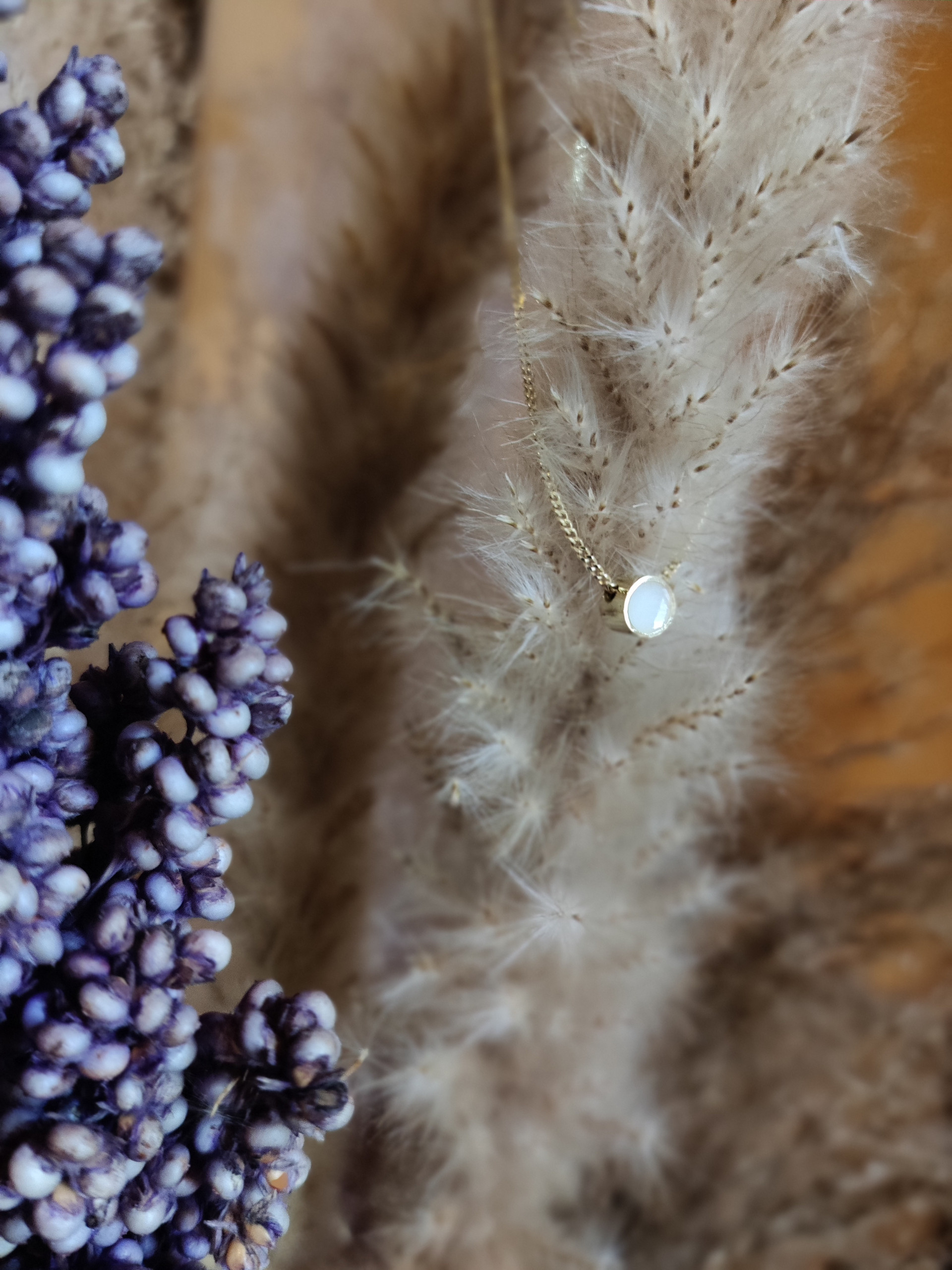 IMG 20240206 123504 Bokeh