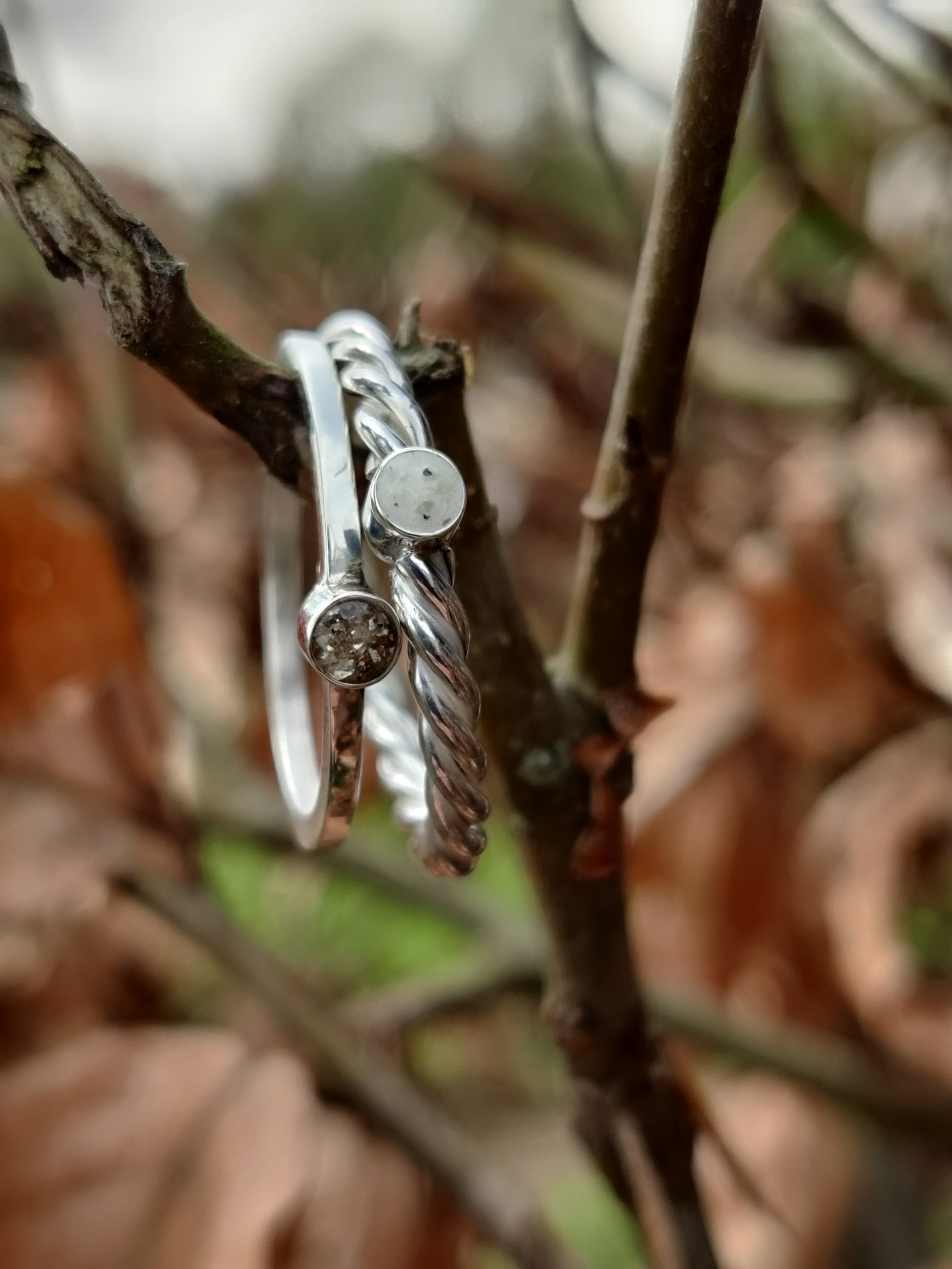 IMG 20240417 135107 Bokeh