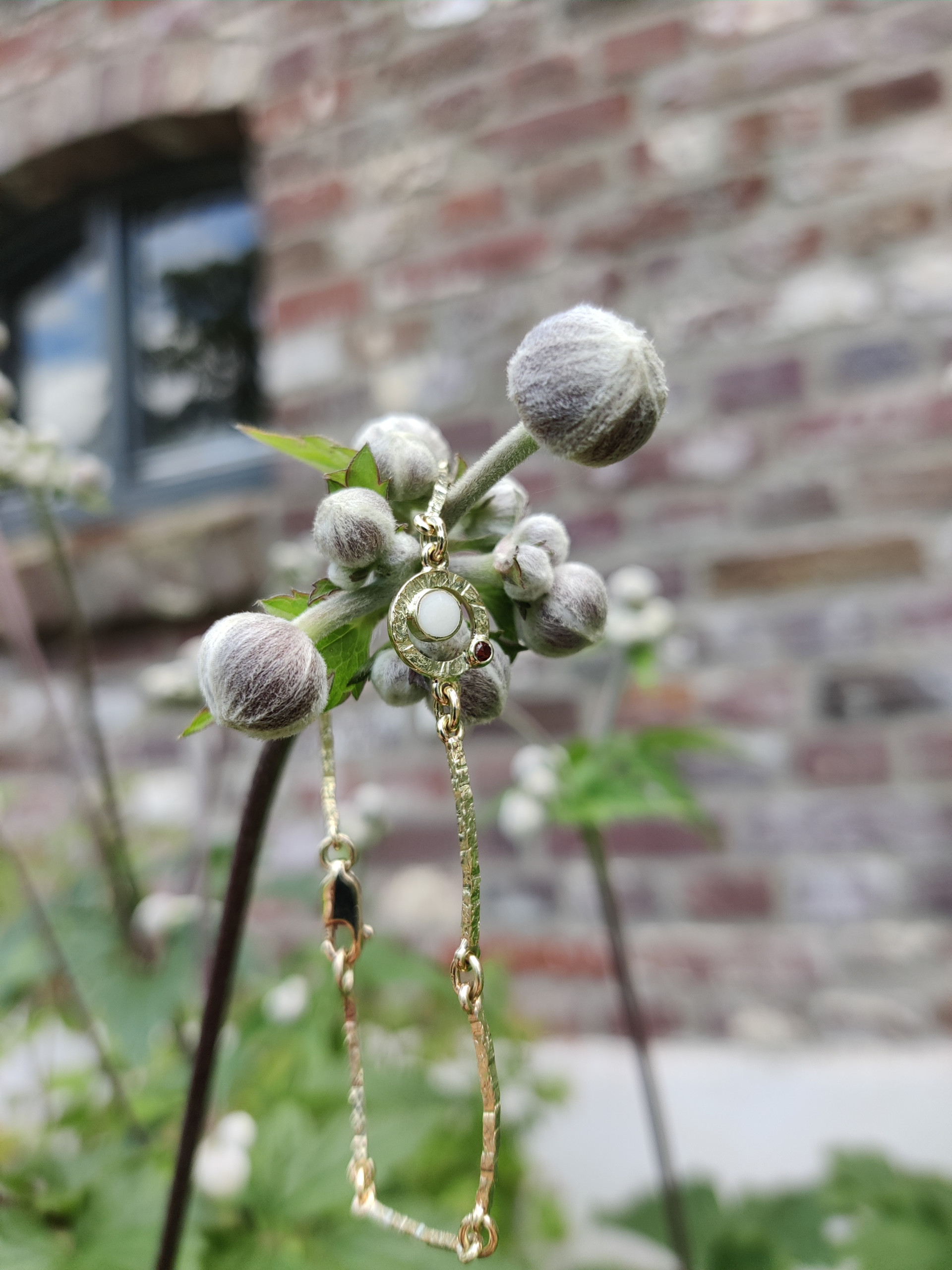 IMG 20240710 152805 Bokeh
